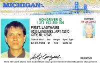 drivers license michigan